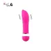 Pink Dolphin Mini Vibrator Massager