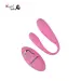 Pretty Love Rechargeable Couple Vibrator