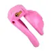 Pussy Design Chastity Cage for Men