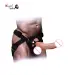 Realistic Harness Hollow Strap on Dildo