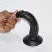 Realistic Black Suction Dildo Without Balls