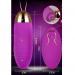 Remote jumping egg vibrator with usb charge