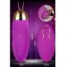 Remote Jumping Egg Vibrator With USB Charge