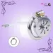 Stainless Steel Flat Chastity Cage With Urethral Penis Plug