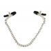 Steel Metal Chain Nipple Clamps