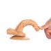 6.1 Inch Strong Suction With Balls Dildo