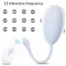 Wireless Remote Control Female Vibrating Eggs